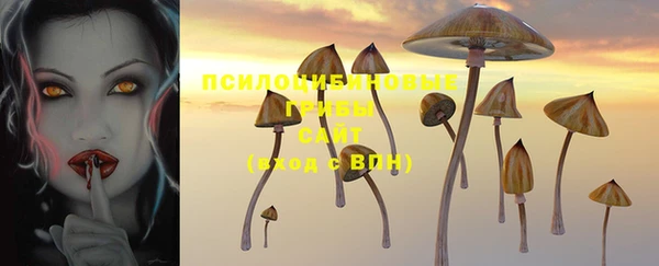 a pvp Арсеньев