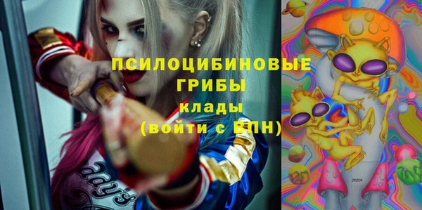 a pvp Арсеньев