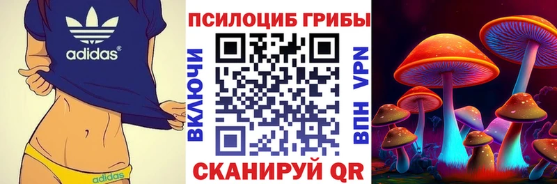 кракен рабочий сайт  хочу наркоту  Печоры  Галлюциногенные грибы GOLDEN TEACHER 